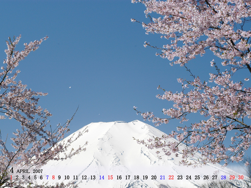 壁紙カレンダー富士山と桜 壁紙 写真館 桜編