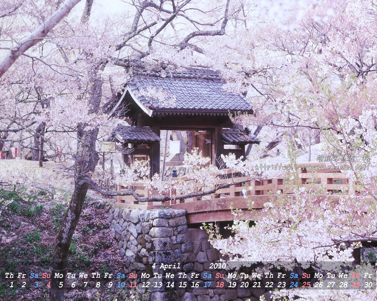 壁紙カレンダー桜 10年４月 高遠の桜雲橋 壁紙 写真館 桜編